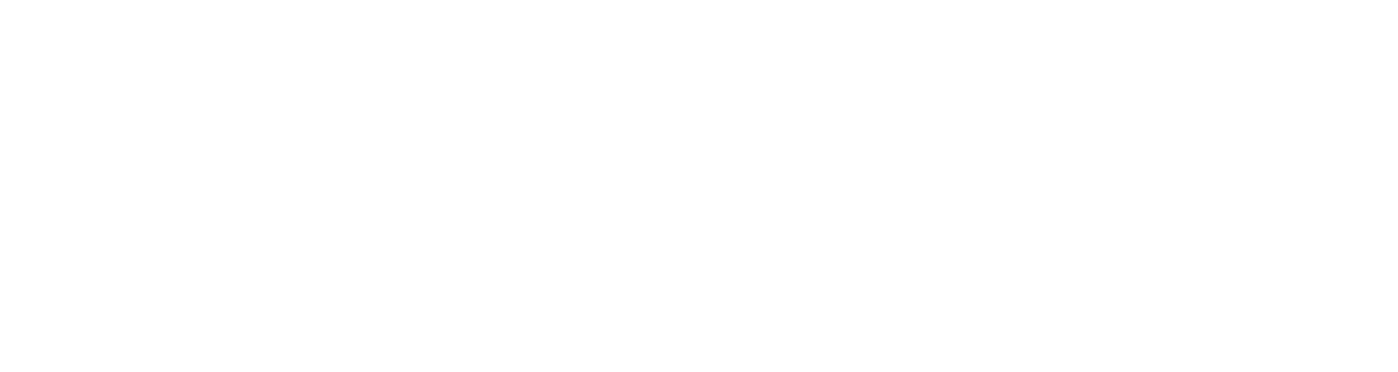 Die Pflichtprüfer